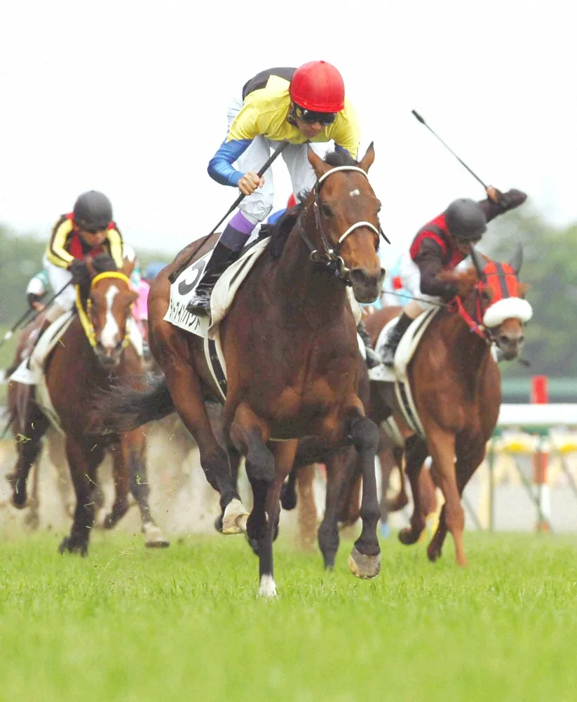 武豊、ディープインパクト命日に7年越しの想い「かけがえのない宝物」